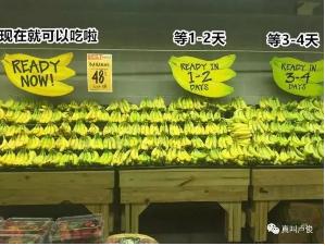 beats365(�й���)-Ψһ�ٷ���վ