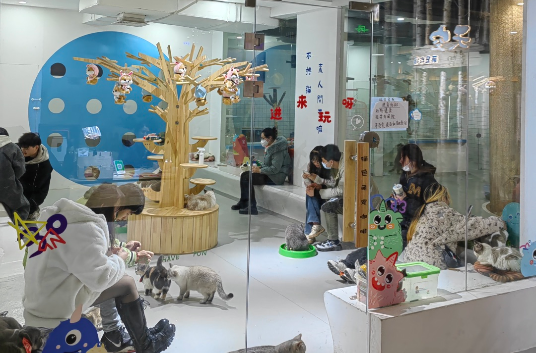 beats365(�й���)-Ψһ�ٷ���վ