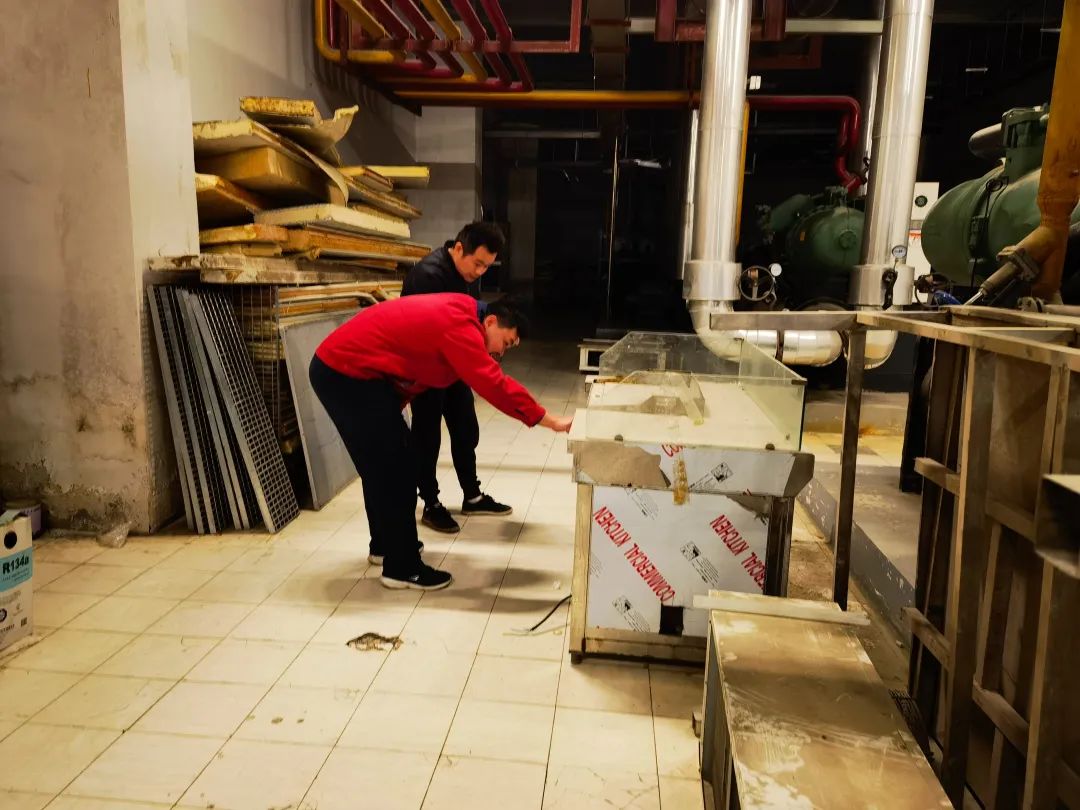 beats365(�й���)-Ψһ�ٷ���վ