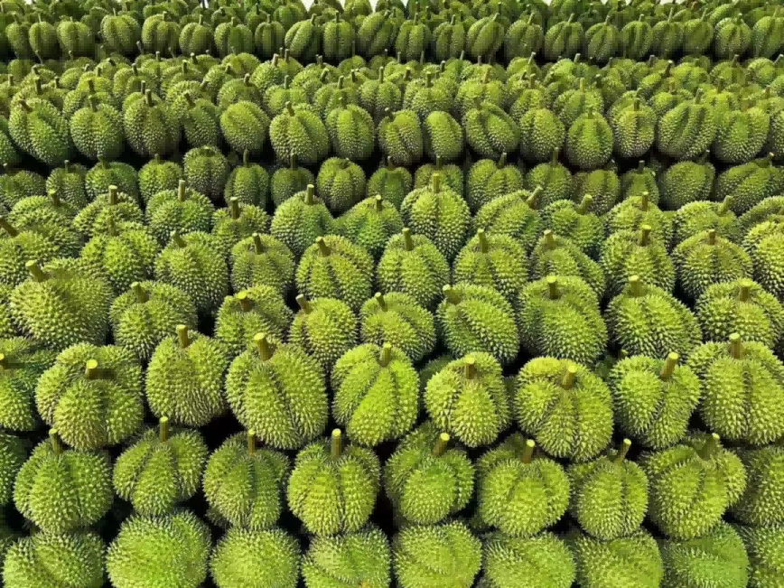 beats365(�й���)-Ψһ�ٷ���վ