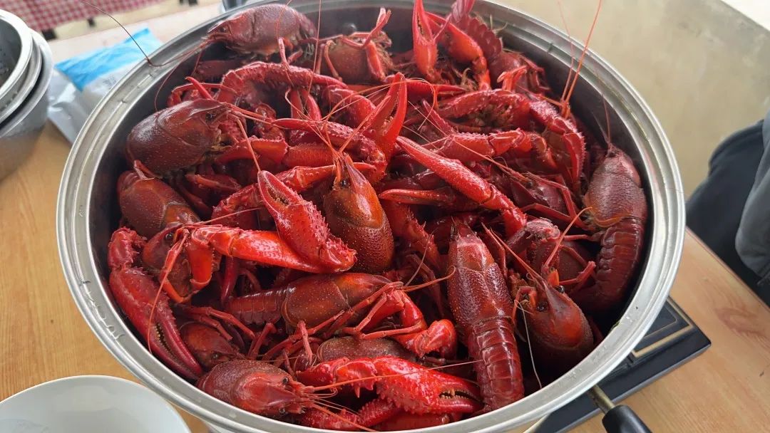 beats365(�й���)-Ψһ�ٷ���վ