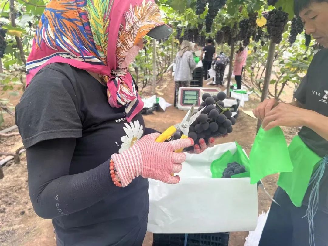 beats365(�й���)-Ψһ�ٷ���վ