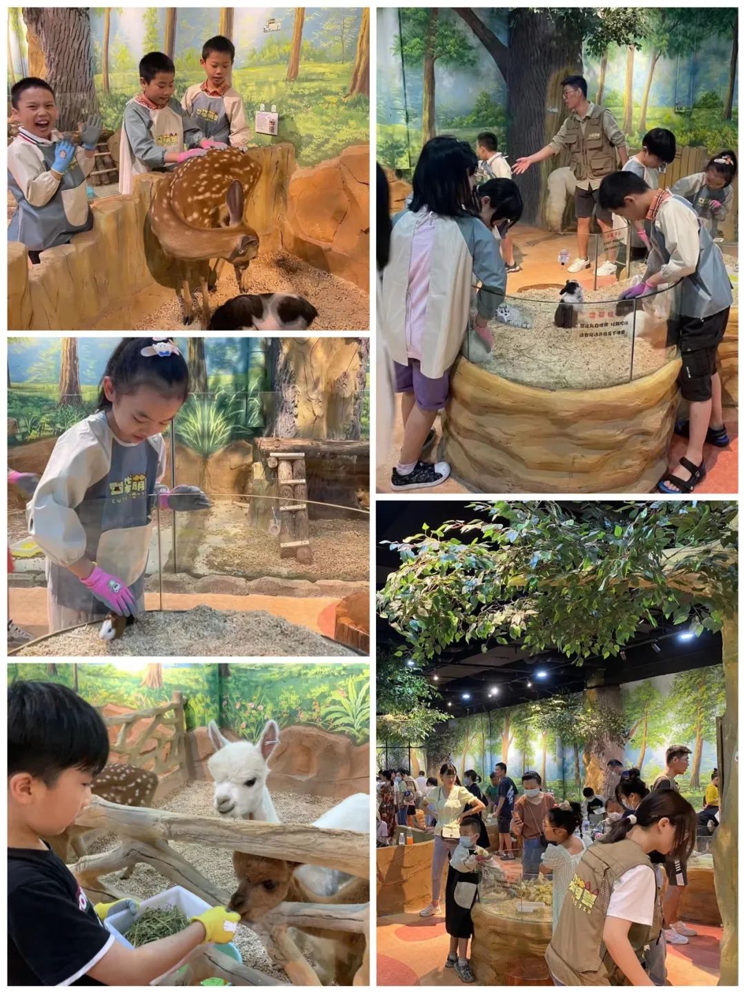 beats365(�й���)-Ψһ�ٷ���վ