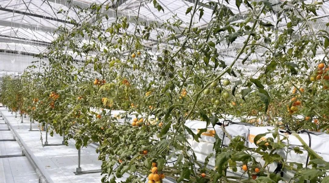 beats365(�й���)-Ψһ�ٷ���վ