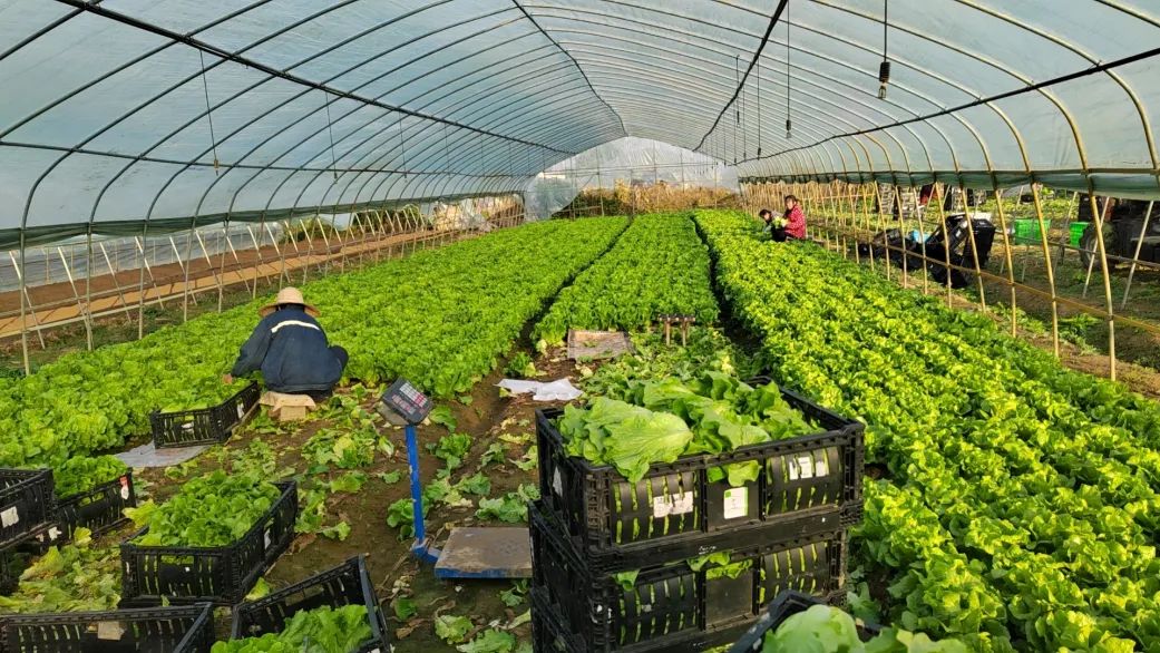 beats365(�й���)-Ψһ�ٷ���վ