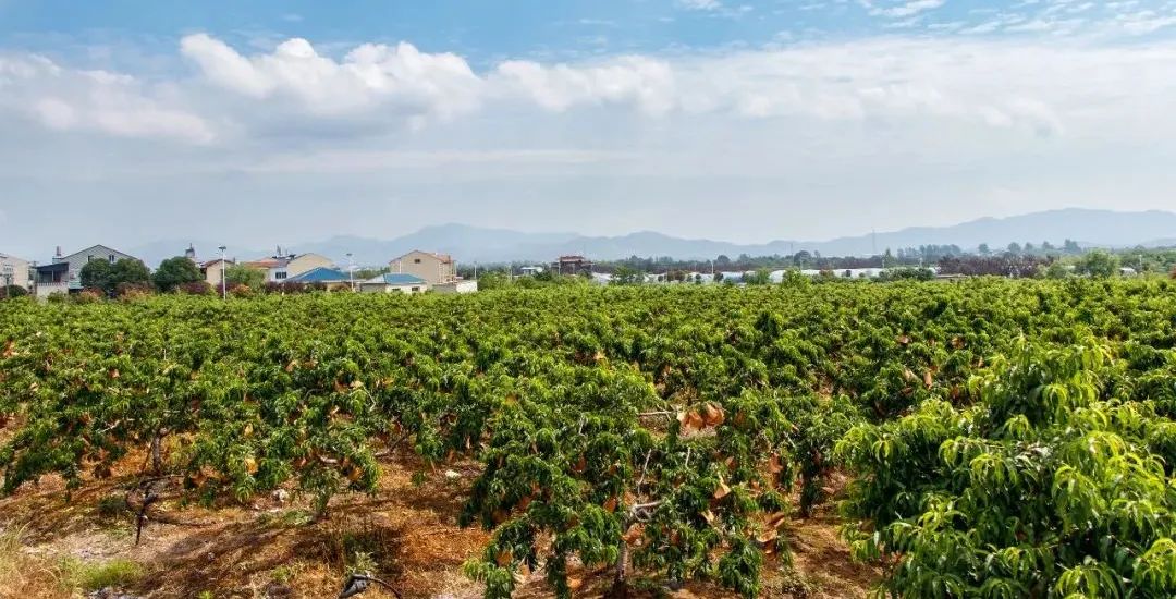 beats365(�й���)-Ψһ�ٷ���վ